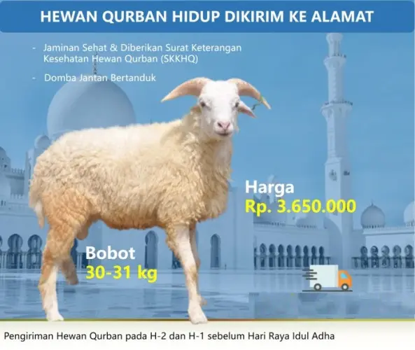 Kurban - Qurban Domba  jombang